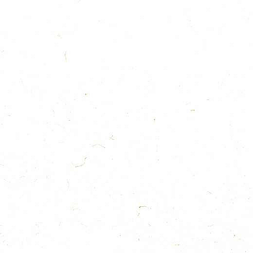 Quartz color sample of Carrara Gold